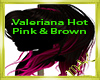 Valeriana H/P & Brown