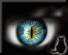 [CS] Cat Eyes