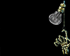 Z*Victorian Roses D. R/R
