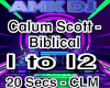 Calum Scott - Biblical