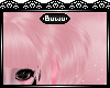 [B] Blosskid pigtails