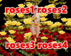 Dj Efecct romantic roses