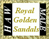 Royal Golden Sandals - M