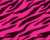 pink zebra glasses
