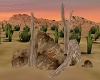 Rocks and Dead Trees