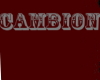 Cambion Banner
