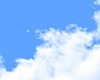 Sky Filler (Dome)