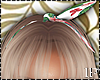 Nature HeadBand Summer