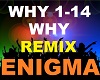 Enigma - Why Remix