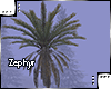 [Z.E] Tree Palm v2