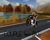 Couple heart Bike..|Nei