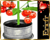 [Efr Interior Tomato Pot