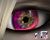 rQ Hybrid Eyes~Pink