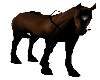 BROWN  HORSE