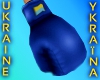Ukraine boxing gloves