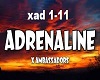 Adrenaline~ XAmbassadors