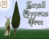 Cyprus Tree - small