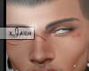 Jay Brows
