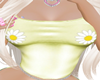 daisy bby tank