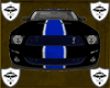 Black&Blue ShelbyGT500