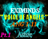 {Ash}Voice Of Angels pt1