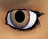 FusionHazel Eyes