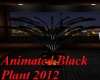 Animated Black Plant