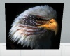 [BT]American Eagle Pic