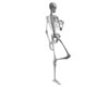 Skeleton Leaning
