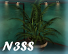 _EMERALD Potted_