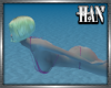 [H]Diving Swim