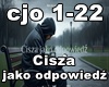 Cisza jako odpowiedź