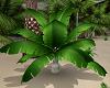 Tropical plant #2
