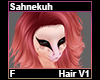 Sahnekuh Hair F V1
