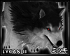 ! Gothic Lycan Wolf II