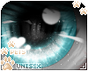 [Pets] Fudge | eyes v2