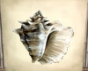 SHELL PAINTING I