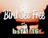 Sia-Bird set free