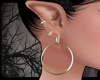 +Bathhouse Gold Ears
