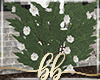 White Flower Bush