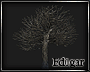(ED1)Tree-7