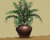 Green plant,Brown vase