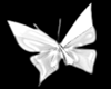 ORIGAMI W BUTTERFLIES