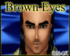 SH-K Brown Eyes 1