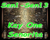 Kay One - Senorita