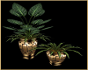 :D Bronze Planter's