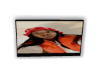 Lexi custom anim. tv
