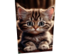 T, Cat Lovers 5