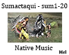 Sumactaqui - sum1-20