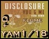 DICLOSURE FT.FLUME Y&M